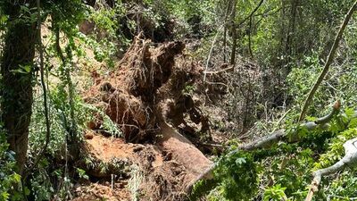 Turistlerin şelale gezisinde feci olay!