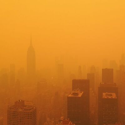 New York dumana teslim