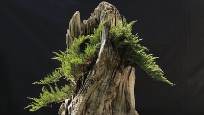 'Fata Morgana' sergisi Yason Burnu'nda