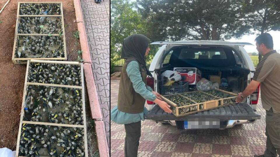 Sınır kapısında araçtan çıktı, 720 bin lira ceza