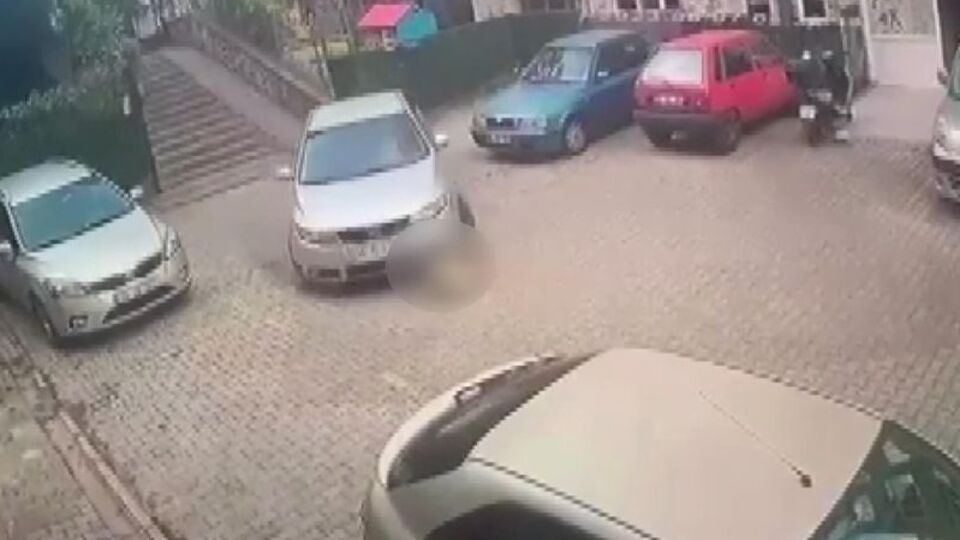 Bunun adı vahşet! Yerde yatan köpeği ezdi