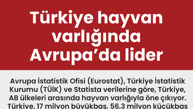 Türkiye hayvan varlığında Avrupa'da lider