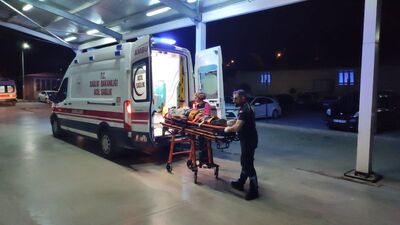 Adana'da hafif ticari araç devrildi: 7 yaralı