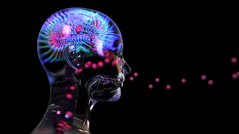 Covid-19 virüsünün beyin hücreleriyle birleşebildiği kanıtlandı