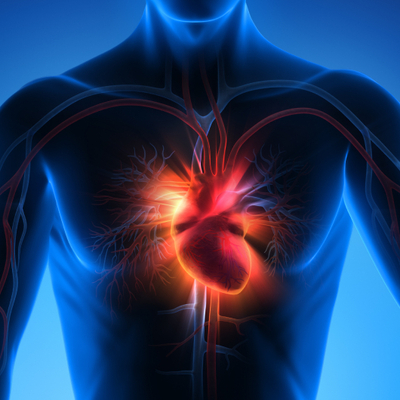 Araştırma: Karantinada kalp krizinden kurtulanlar 18 ay daha erken hayatını kaybedebilir