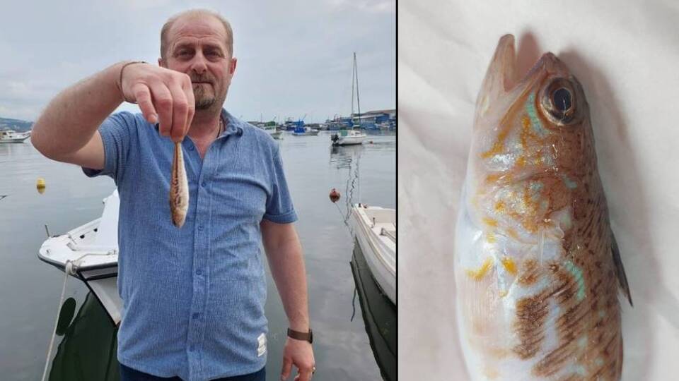 Dikkat zehirli! Balıkçıların ağına takıldı