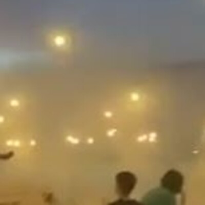 Antalya'da yaşandı! Düğüne sivrisinek müdahalesi