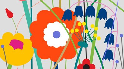 Documentarist başladı