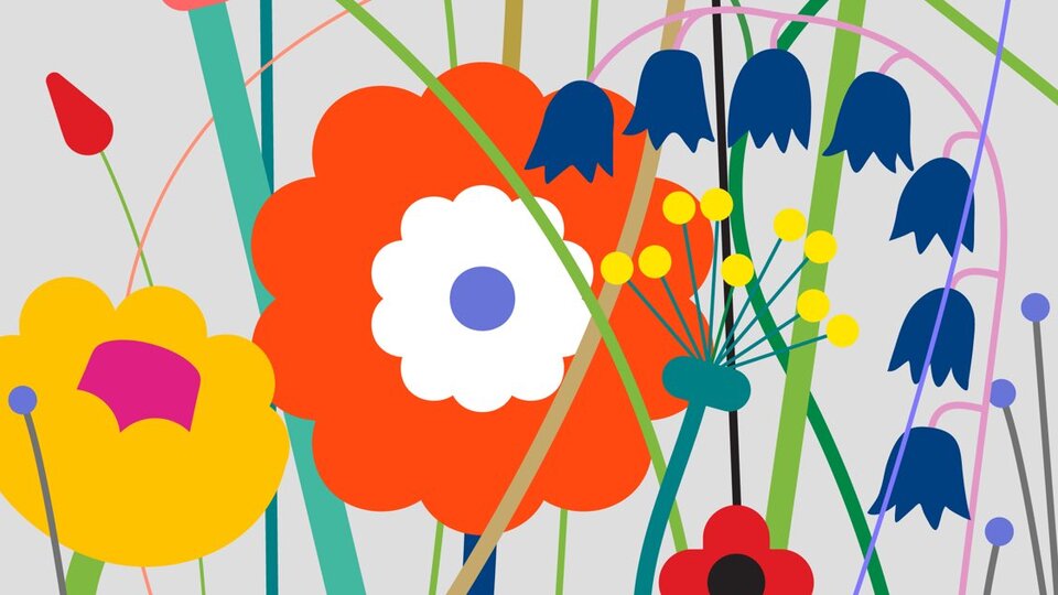 Documentarist başladı