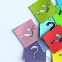 Beyin kabuğunun diğer adı nedir?