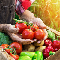 Yiyeceklerin taze mi bayat mı olduğu nasıl anlaşılır?