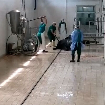 Sosyal medyada büyük tepki çekti! Bu nasıl eziyet? İşte ifadeleri!