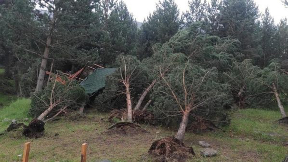 Ağaçları kökünden söktü! Kars'ta hortum!