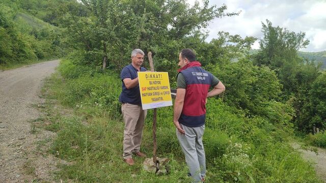 Bartın'da 3 kilometrelik "şap" karantinası!