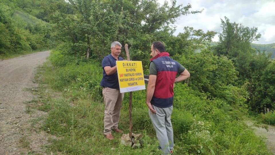 Bartın'da 3 kilometrelik "şap" karantinası!