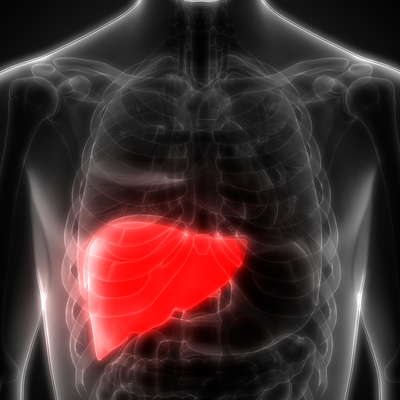 Karaciğeri koruyan süper besinler!