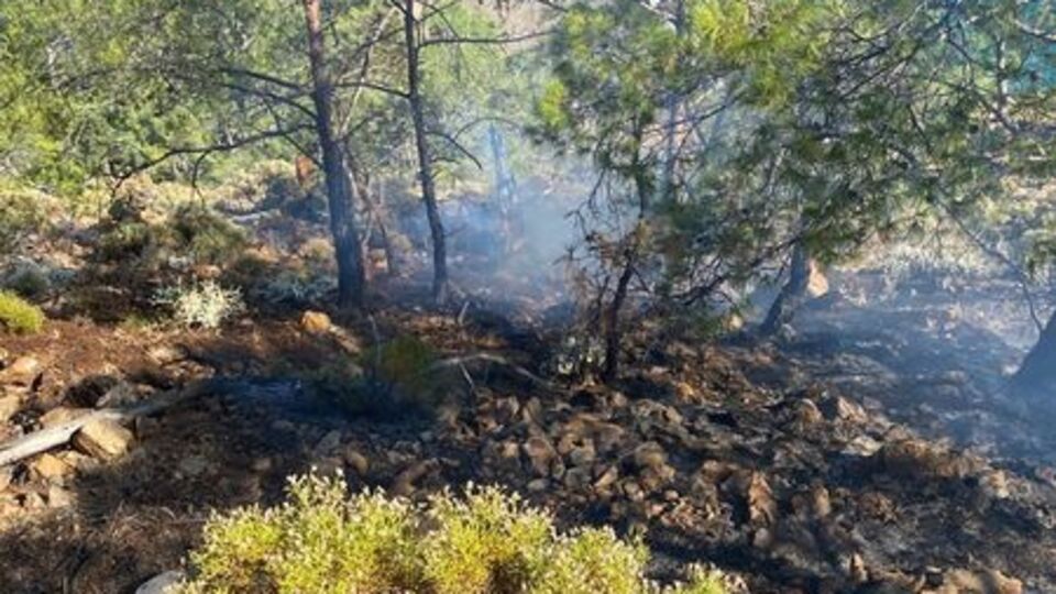 Muğla'da ormanlık alanda çıkan yangın söndürüldü