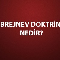 Brejnev Doktrini özellikleri, tarihi
