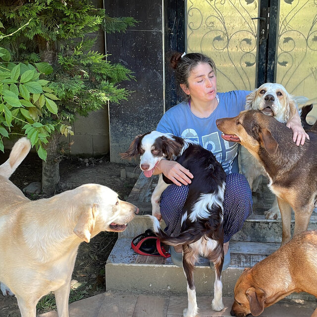 Hayatını onlara adadı! 43 kedi ve köpekle yaşıyor...