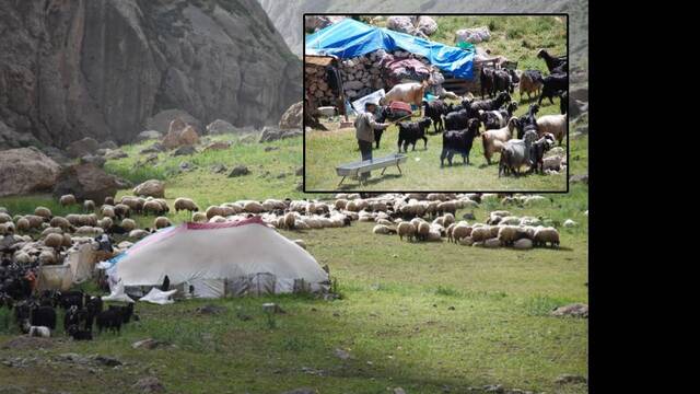 Göçerler ve Yörüklerin yayla mesaisi başladı