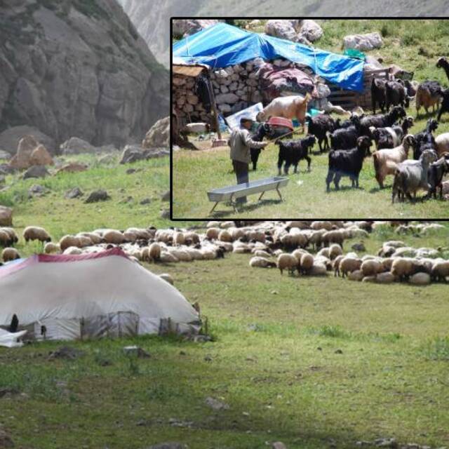 Göçerler ve Yörüklerin yayla mesaisi başladı