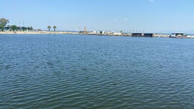 Ege Denizi'nde müsilaj paniği! Dikkat çeken uyarı