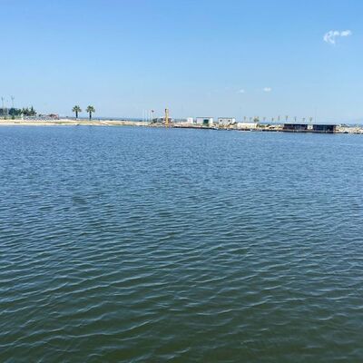 Ege Denizi'nde müsilaj paniği! Dikkat çeken uyarı