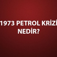 1973 Petrol Krizi nedenleri, sonuçları
