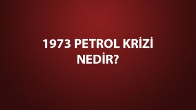 1973 Petrol Krizi nedenleri, sonuçları
