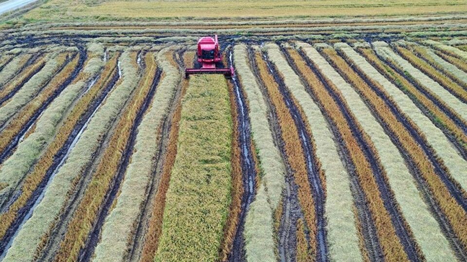 Tarımsal girdi fiyatlarında artış
