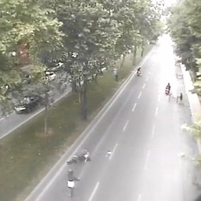 Görüntüler ortaya çıktı! 7 metrelik dehşet