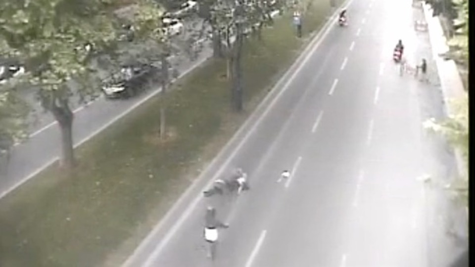 Görüntüler ortaya çıktı! 7 metrelik dehşet