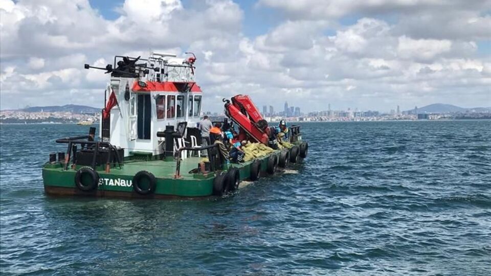 Kaçak midyecilere operasyon