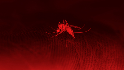 AB'den uyarı! Küresel ısınma o hastalıkları artırabilir