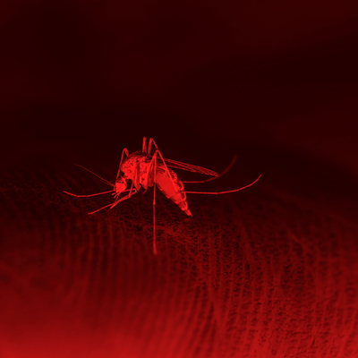 AB'den uyarı! Küresel ısınma o hastalıkları artırabilir