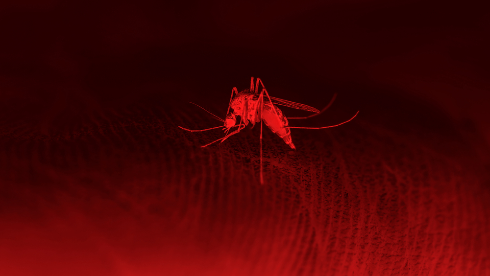 AB'den uyarı! Küresel ısınma o hastalıkları artırabilir