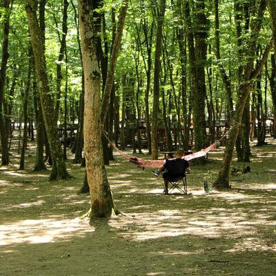 İstanbul Valiliği açıkladı! Girişler yasaklandı