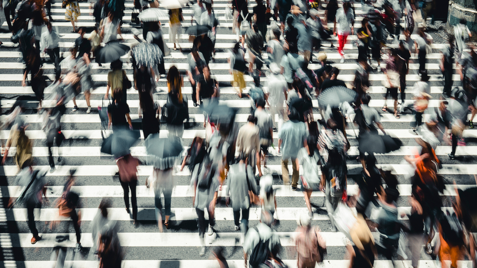 Japonya'da 25 bin kişi kısırlaştırıldı