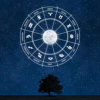 12 Aralık hangi burç?