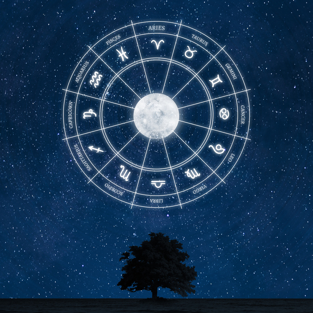 11 Ağustos hangi burç?