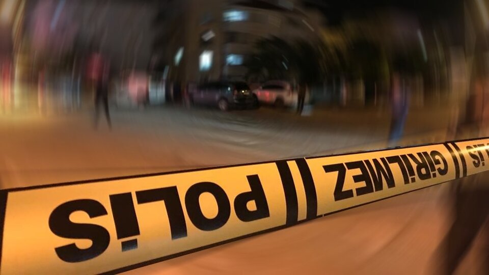 Finlandiya'dan gelip ağabeyini öldürdü!