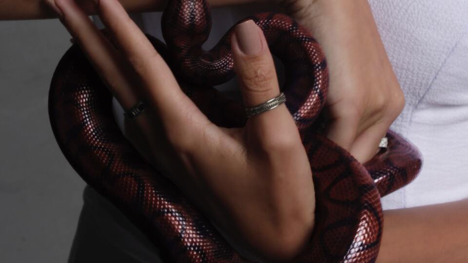 Yılan kış uykusuna yatar mı?