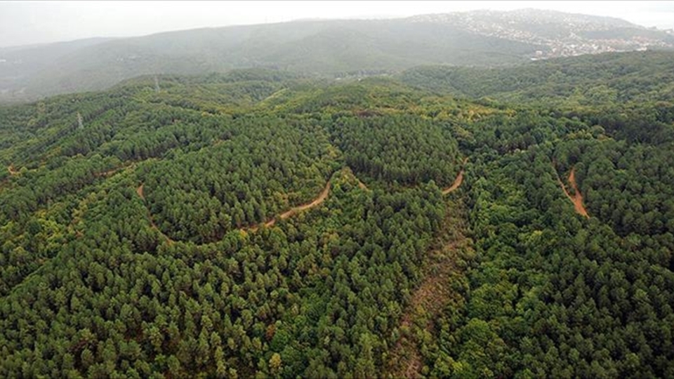 Tekirdağ'da ormanlarda ateş yakılması yasaklandı