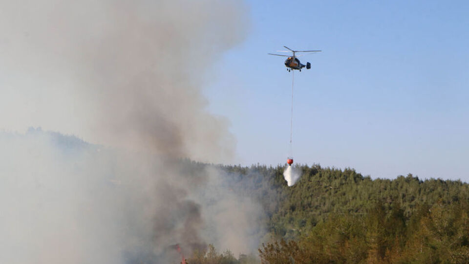 Adana'da orman yangını
