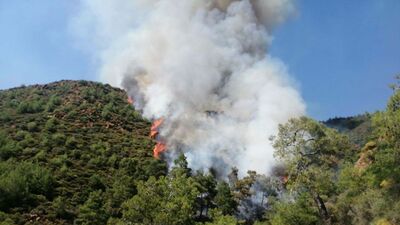 Marmaris'teki orman yangınında yeni gelişme! Serbest bırakıldı