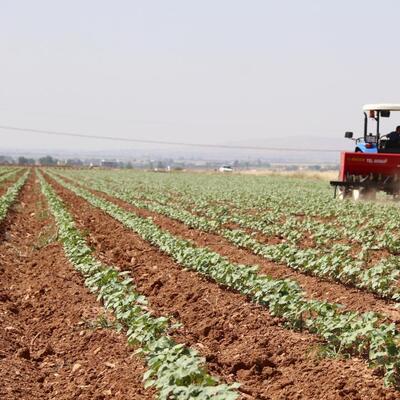 Kırsal kalkınma projelerine 1.2 milyar lira hibe
