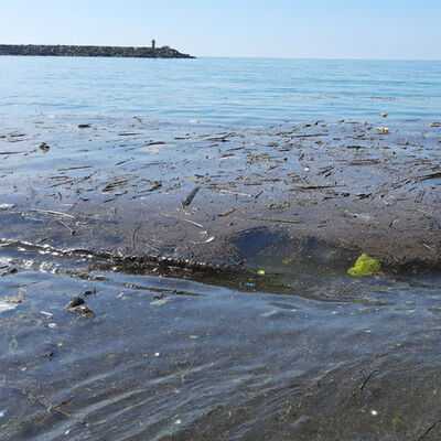 Yüksek kesimlere atılan çöpler sağanakta denize sürüklendi!