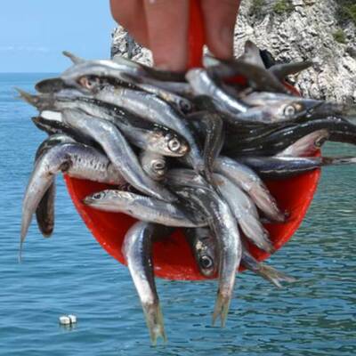 Endişelendiren istatistik: Yüzde 32 azaldı!