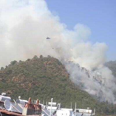 Orman yangınında bulunan ceset Belçika vatandaşının çıktı!