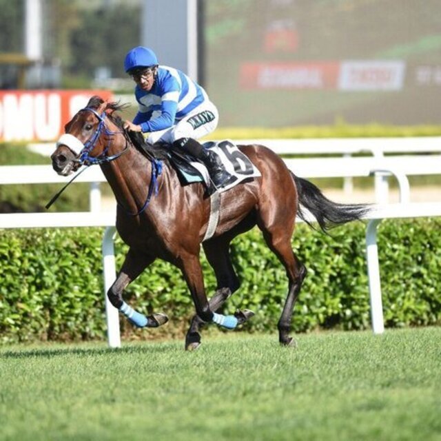 97. Gazi Koşusu kim kazandı?